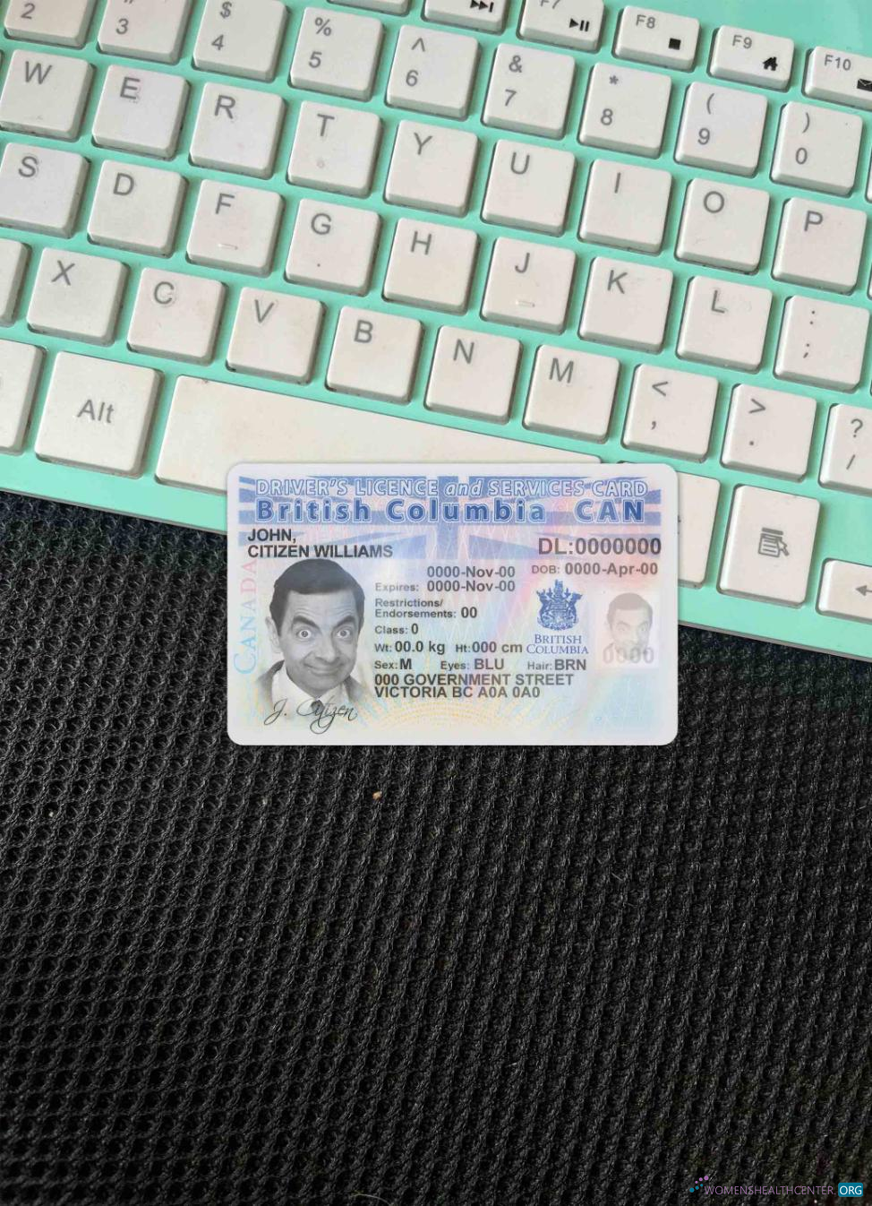 Download Canada province British Columbia driving license photolook FRONT Photoshop template